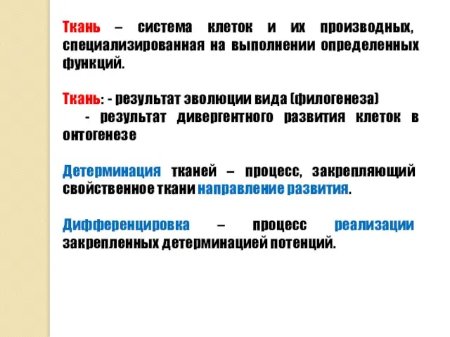 Ткань – система клеток и их производных, специализированная на выполнении определенных функций.