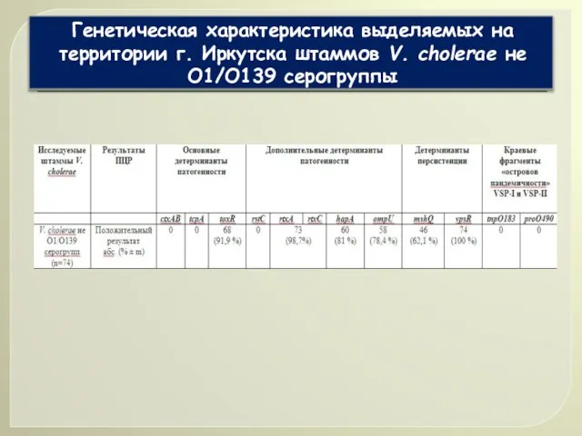 Генетическая характеристика выделяемых на территории г. Иркутска штаммов V. cholerae не О1/O139 серогруппы