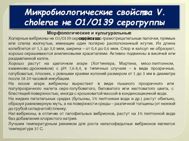 Микробиологические свойства V. сholerae не О1/О139 серогруппы Морфологические и культуральные свойства Холерные