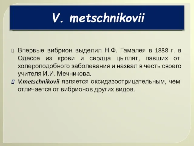 Впервые вибрион выделил Н.Ф. Гамалея в 1888 г. в Одессе из крови