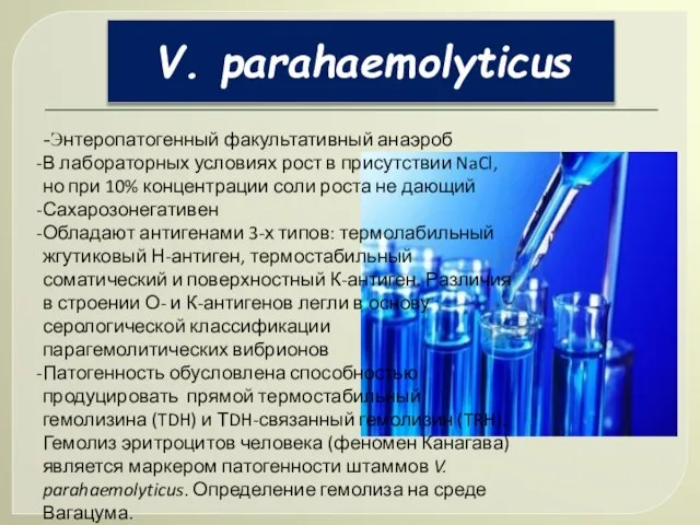 V. parahaemolyticus -Энтеропатогенный факультативный анаэроб В лабораторных условиях рост в присутствии NaCl,