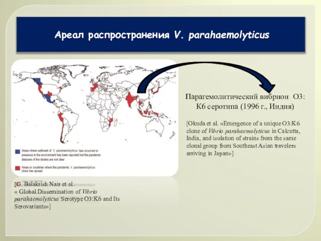 Ареал распространения V. parahaemolyticus Парагемолитический вибрион О3:К6 серотипа (1996 г., Индия) [G.