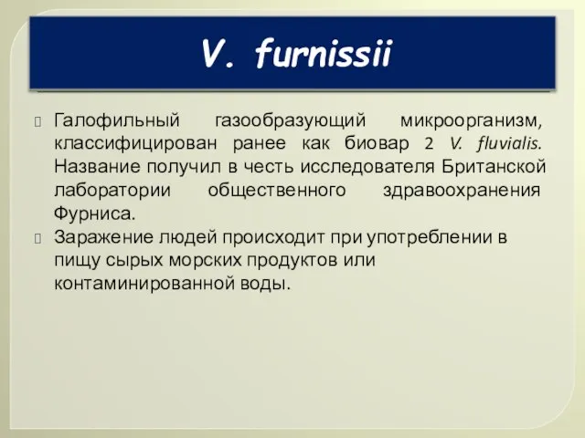 Галофильный газообразующий микроорганизм, классифицирован ранее как биовар 2 V. fluvialis. Название получил