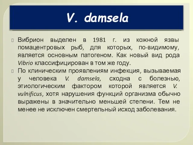 Вибрион выделен в 1981 г. из кожной язвы помацентровых рыб, для которых,