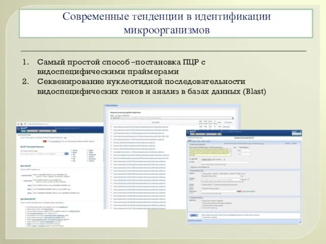 Современные тенденции в идентификации микроорганизмов Самый простой способ –постановка ПЦР с видоспецифическими