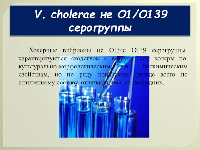 V. сholerae не О1/О139 серогруппы Холерные вибрионы не О1/не О139 серогруппы характеризуются
