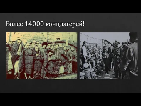 Более 14000 концлагерей!