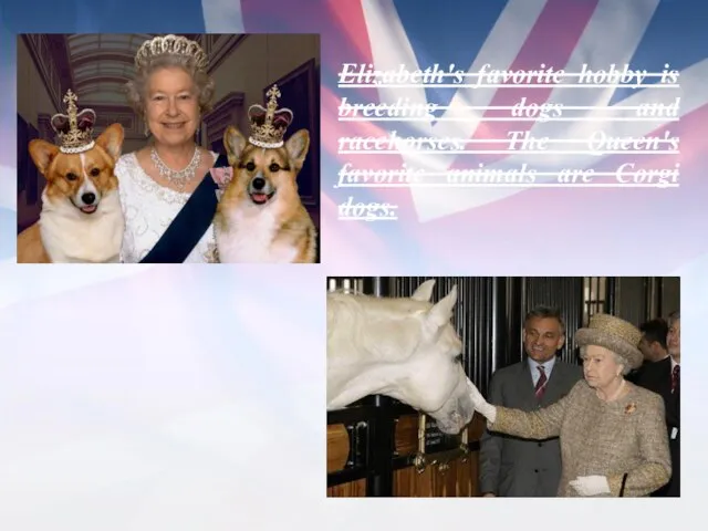 Elizabeth's favorite hobby is breeding dogs and racehorses. The Queen's favorite animals are Corgi dogs.