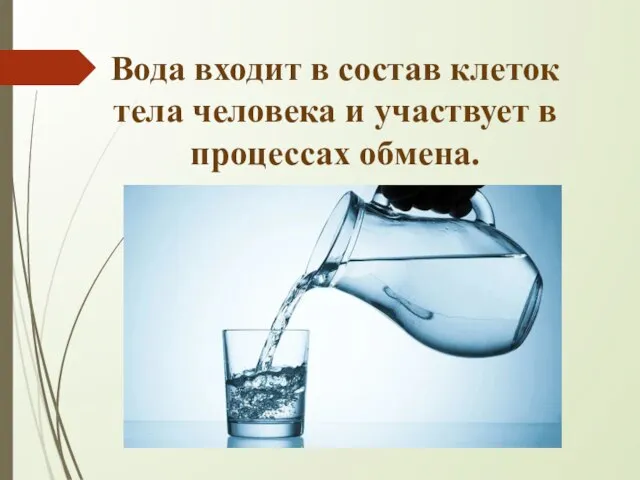 Вода входит в состав клеток тела человека и участвует в процессах обмена.