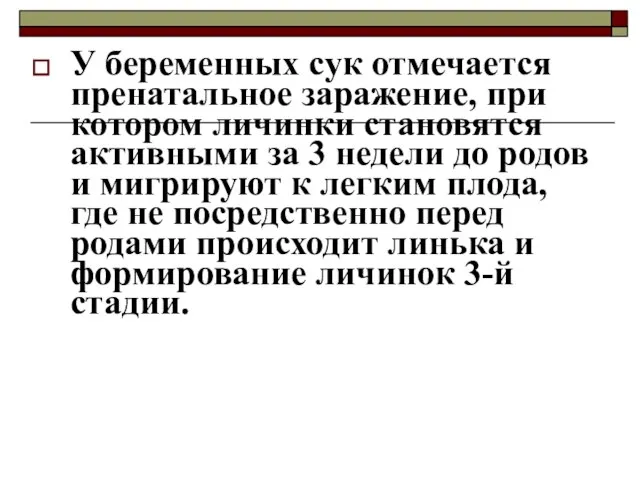 У беременных сук отмечается пренатальное заражение, при котором личинки становятся активными за