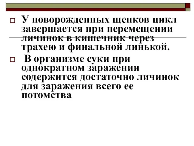 У новорожденных щенков цикл завершается при перемещении личинок в кишечник через трахею