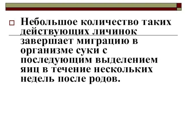 Небольшое количество таких действующих личинок завершает миграцию в организме суки с последующим