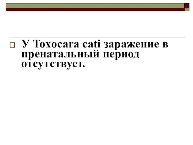 У Toxocara cati заражение в пренатальный период отсутствует.