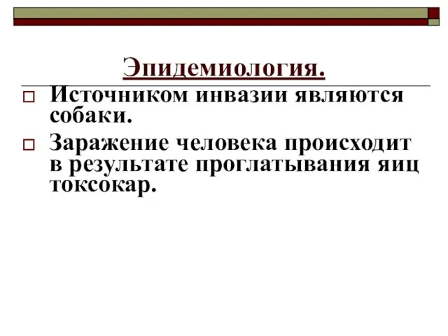 Эпидемиология. Источником инвазии являются собаки. Заражение человека происходит в результате проглатывания яиц токсокар.