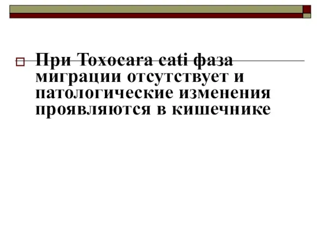 При Toxocara cati фаза миграции отсутствует и патологические изменения проявляются в кишечнике