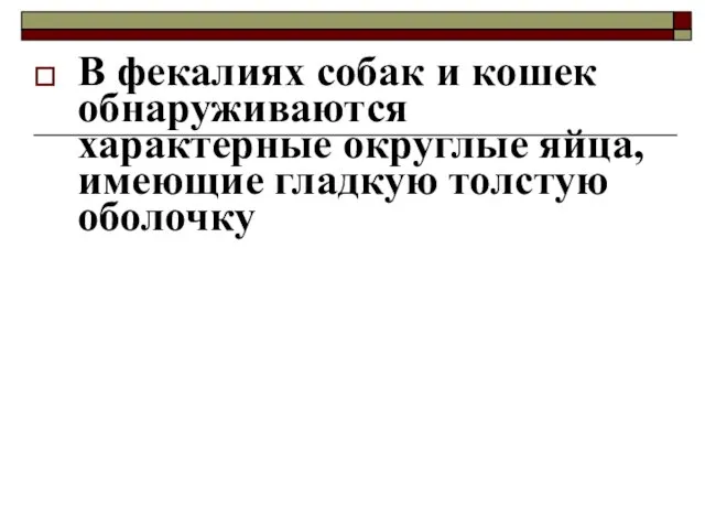 В фекалиях собак и кошек обнаруживаются характерные округлые яйца, имеющие гладкую толстую оболочку