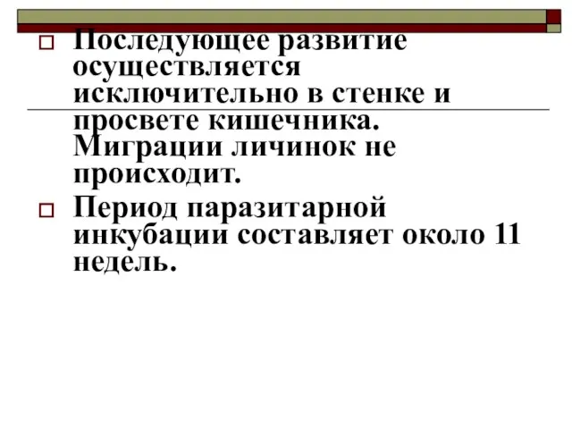 Последующее развитие осуществляется исключительно в стенке и просвете кишечника. Миграции личинок не