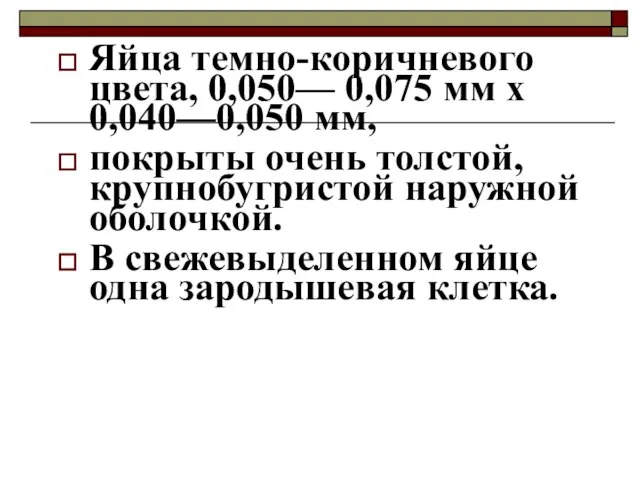 Яйца темно-коричневого цвета, 0,050— 0,075 мм х 0,040—0,050 мм, покрыты очень толстой,