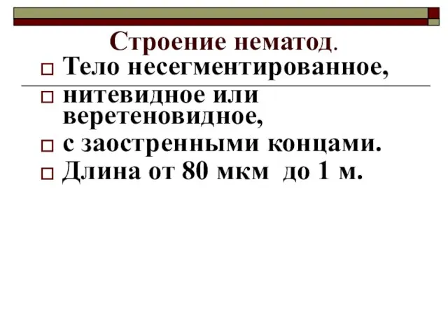 Строение нематод. Тело несегментированное, нитевидное или веретеновидное, с заостренными концами. Длина от