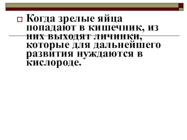 Когда зрелые яйца попадают в кишечник, из них выходят личинки, которые для