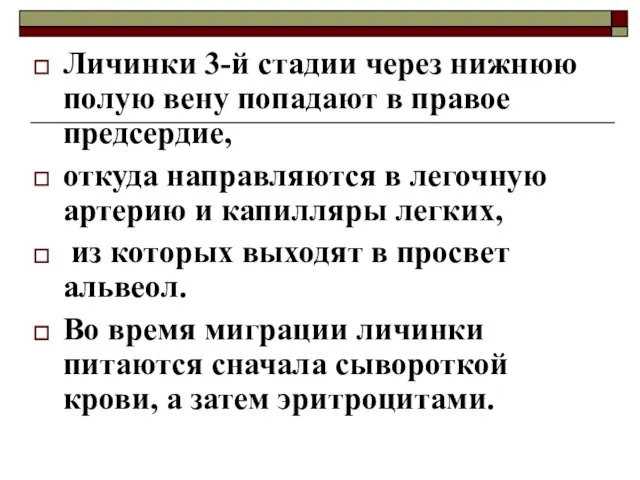 Личинки 3-й стадии через нижнюю полую вену попадают в правое предсердие, откуда