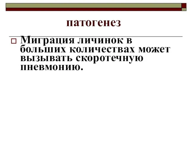 патогенез Миграция личинок в больших количествах может вызывать скоротечную пневмонию.