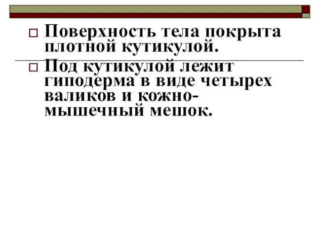 Поверхность тела покрыта плотной кутикулой. Под кутикулой лежит гиподерма в виде четырех валиков и кожно-мышечный мешок.