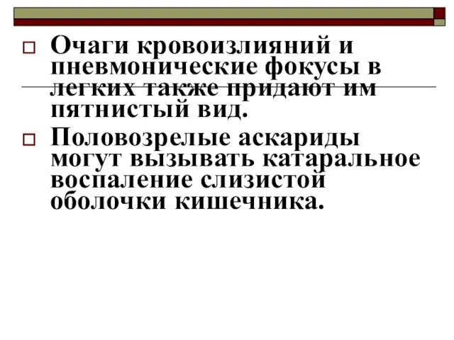 Очаги кровоизлияний и пневмонические фокусы в легких также придают им пятнистый вид.