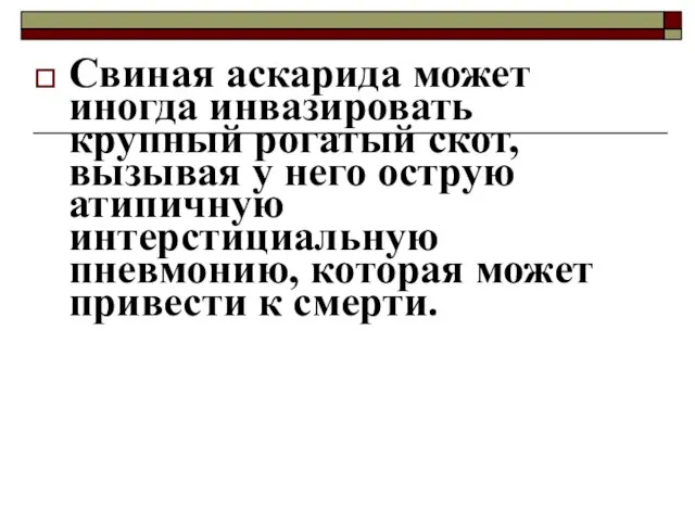 Свиная аскарида может иногда инвазировать крупный рогатый скот, вызывая у него острую