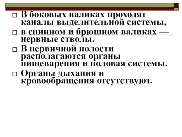 В боковых валиках проходят каналы выделительной системы, в спинном и брюшном валиках