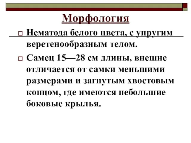 Морфология Нематода белого цвета, с упругим веретенообразным телом. Самец 15—28 см длины,