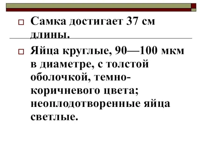 Самка достигает 37 см длины. Яйца круглые, 90—100 мкм в диаметре, с