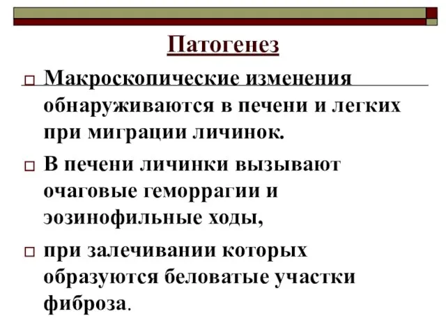 Патогенез Макроскопические изменения обнаруживаются в печени и легких при миграции личинок. В