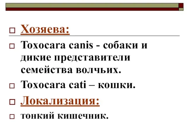 Хозяева: Toxocara canis - собаки и дикие представители семейства волчьих. Toxocara cati