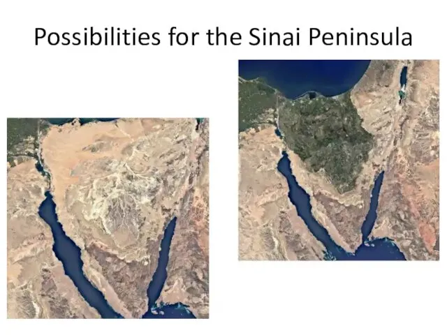 Possibilities for the Sinai Peninsula