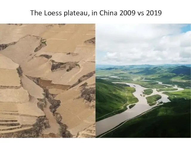 The Loess plateau, in China 2009 vs 2019
