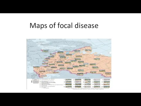Maps of focal disease