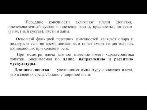 Передние конечности включают плечи (лопатка, плечелопаточный сустав и плечевая кость), предплечья, запястья