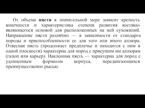 От объема пясти в значительной мере зависит крепость конечности и характеристика степени