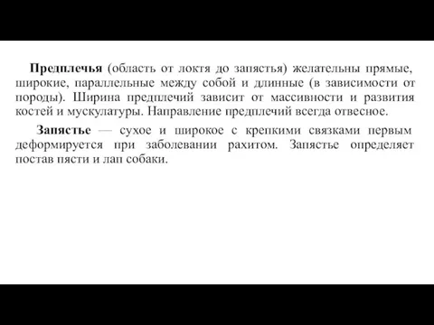 Предплечья (область от локтя до запястья) желательны прямые, широкие, параллельные между собой