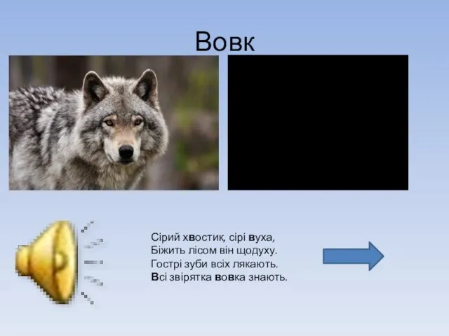 Вовк Сірий хвостик, сірі вуха, Біжить лісом він щодуху. Гострі зуби всіх