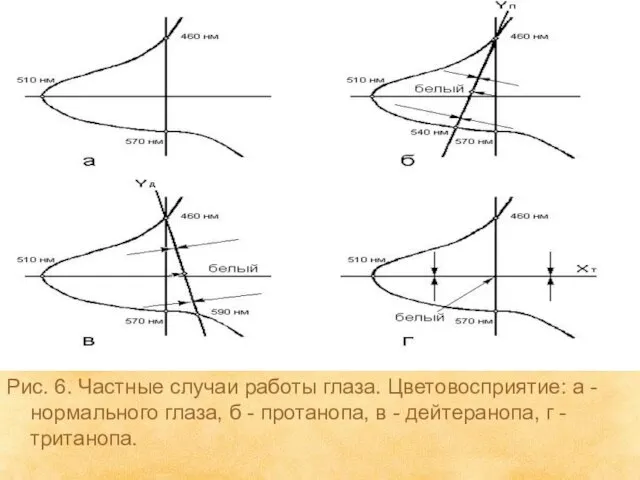 Рис. 6. Частные случаи работы глаза. Цветовосприятие: а - нормального глаза, б