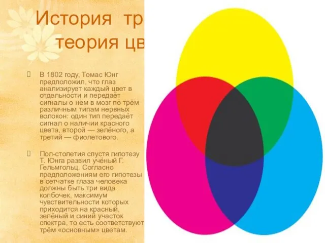 История трёхкомпонентная теория цветного зрения В 1802 году, Томас Юнг предположил, что