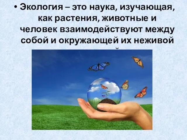 Экология – это наука, изучающая, как растения, животные и человек взаимодействуют между