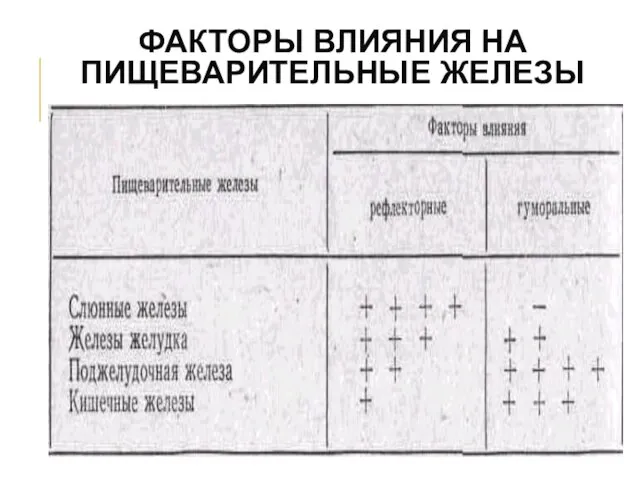 ФАКТОРЫ ВЛИЯНИЯ НА ПИЩЕВАРИТЕЛЬНЫЕ ЖЕЛЕЗЫ