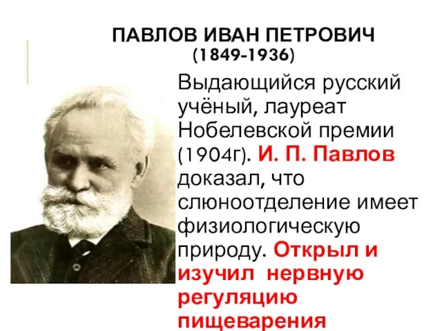 ПАВЛОВ ИВАН ПЕТРОВИЧ (1849-1936) Выдающийся русский учёный, лауреат Нобелевской премии (1904г). И.