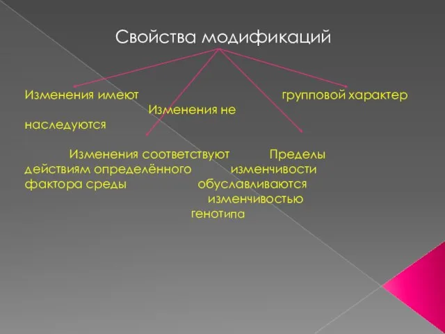 Свойства модификаций Изменения имеют групповой характер Изменения не наследуются Изменения соответствуют Пределы