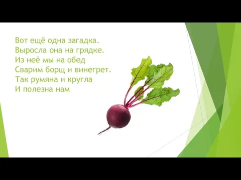 Вот ещё одна загадка. Выросла она на грядке. Из неё мы на