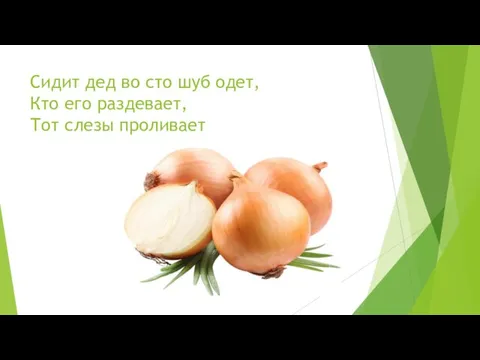 Сидит дед во сто шуб одет, Кто его раздевает, Тот слезы проливает