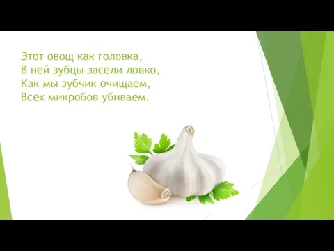 Этот овощ как головка, В ней зубцы засели ловко, Как мы зубчик очищаем, Всех микробов убиваем.